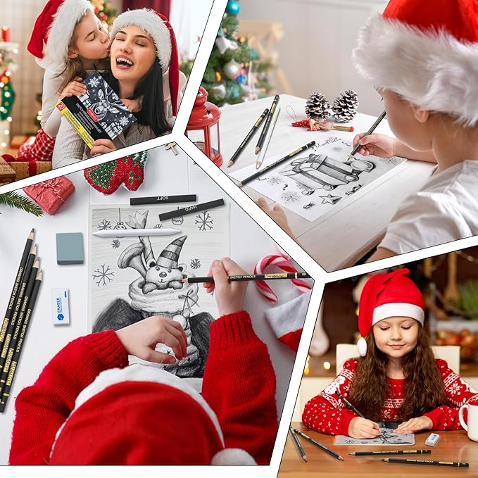 PANDAFLY 20-Piece Professional Sketch Pencil Set - Includes 4H to 14B Graphite Pencils, Charcoal Sticks, Vinyl Eraser, Kneaded Eraser, Sharpener, Blending Stump - Ideal for Artists and Beginners