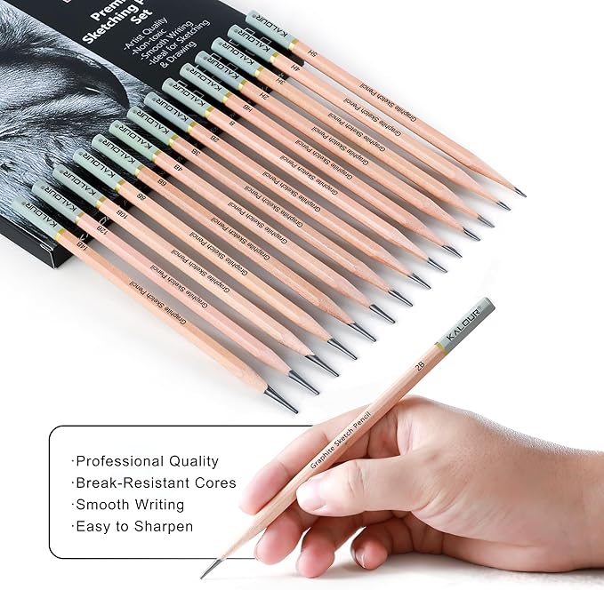 KALOUR 18-Piece Professional Sketch Pencil Set - Includes 5H to 14B Pencils, Vinyl Eraser, Kneaded Eraser,Sharpener and Paper Blending Stump - Ideal for Artists and Beginners