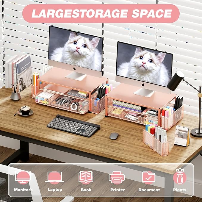 Desk Organizers and Accessories, 2-Tier Computer Monitor Stand with Drawer and 2 Pen Holders, Laptop Stand, Office Desk Accessories for Office Supplies, Rose Gold