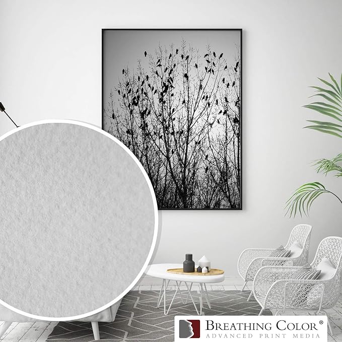 Elegance Velvet 54 in x 40 ft roll is a Premium Matte 310 gsm, Cold Pressed Bright White Museum Grade Fine Art Inkjet Paper, Compatible with Most Dye-Based and Pigment Printers