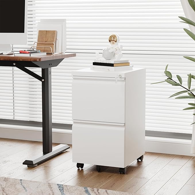 Letaya 2 Drawer Mobile File Cabinet with Lock,Under Desk Metal Filing Cabinets for Home Office Organizer Letters/Legal/A4(White-Requires Installation)