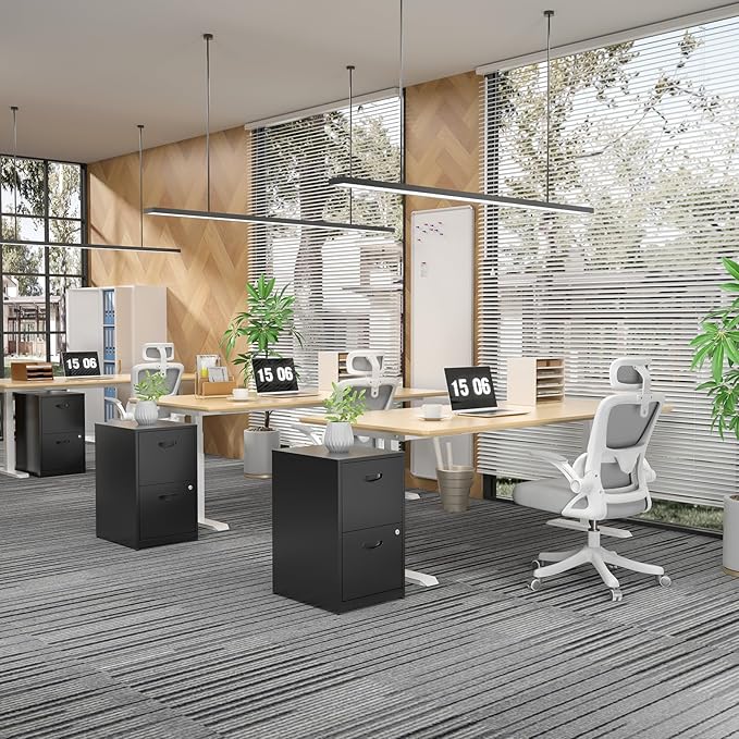 2 Drawer File Cabinets,Metal Office File Cabinet with Lock,Black Filing Cabinets for Home Office,Vertical Modern File Cabinet Office Two Drawers for Hanging Letter,Assembly Required