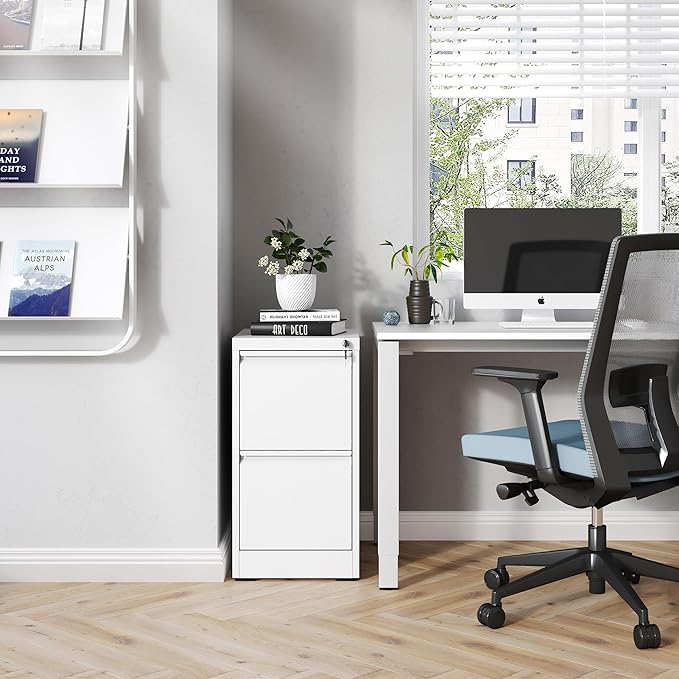 2 Drawer File Cabinet with Lock,Metal Vertical Filing Cabinets for Home Office,Heavy Duty File Storage Cabinet for Letter/Legal/A4/F4 Size File,Assembly Require (White, Vertical 2 Drawer)