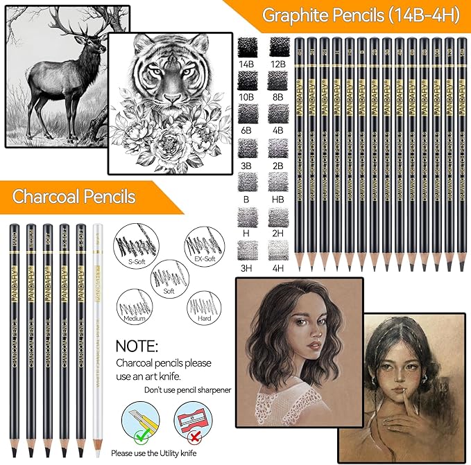 PANDAFLY 26-Piece Professional Sketch Pencil Set - Includes 4H to 14B Graphite Pencils, Charcoal Pencils, Charcoal Sticks, Vinyl Eraser, Kneaded Eraser, Sharpener, Blending Stump