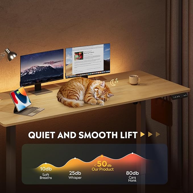 DEVAISE 63 Inch Electric Standing Desk, 3 Adjustable Height Stand up Desk for Home Office, Ergonomic Sit to Stand Desk with LED Touchscreen, Headphone Hook, 3 Memory Preset Computer Desk (Maple)