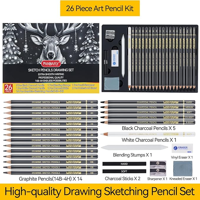 PANDAFLY 26-Piece Professional Sketch Pencil Set - Includes 4H to 14B Graphite Pencils, Charcoal Pencils, Charcoal Sticks, Vinyl Eraser, Kneaded Eraser, Sharpener, Blending Stump