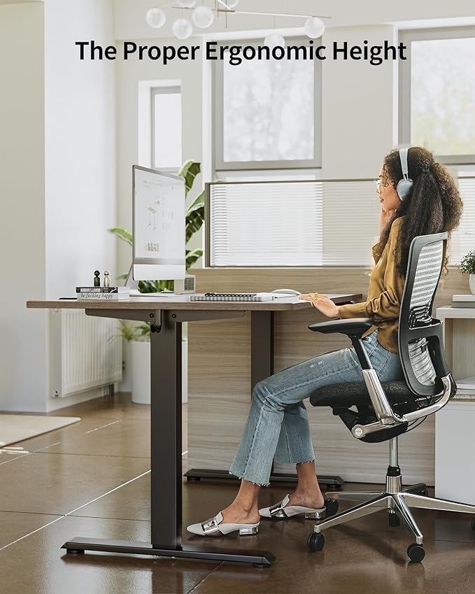 FEZIBO One-Piece Standing Desk Adjustable Height Stand up Home Office Desk, 48x24 Inch Electric Standing Computer Desk, with 4 Memory Presets, Fixable casters, Rustic Brown