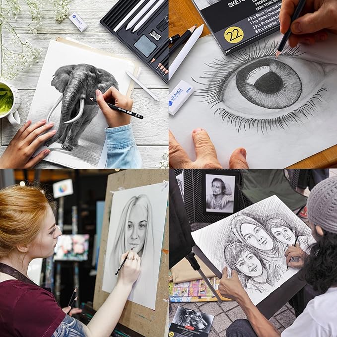 PANDAFLY Drawing Sketching Pencil Set, 22 Piece Pro Art Pencil Kit - Graphite Pencils (12B-2H), Black and White Charcoal Pencils, Charcoal Sticks, Stumps, Eraser, Sharpeners