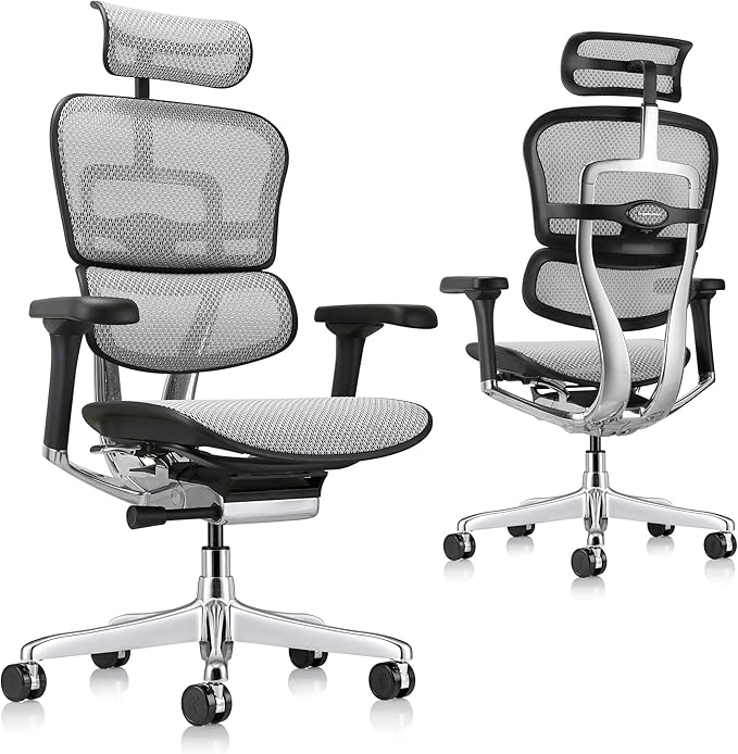 Ergohuman Eurotech ME7ERG GEN2 High Back Mesh Office Chair with Tilt Tension Control, Tilt Lock, Back Angle, Back Height, Synchro Tilt, Seat Height, Seat Depth, and Arm Height Adjustments, Grey