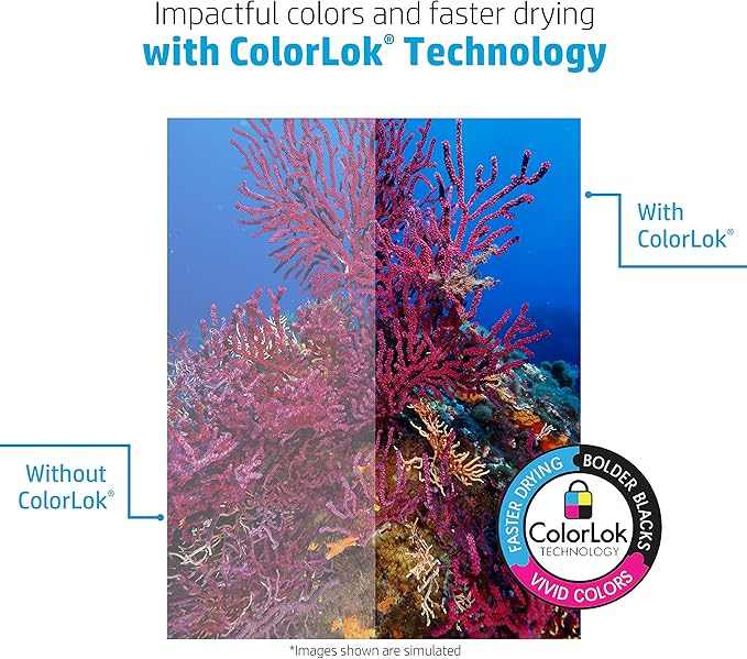 HP Papers Printer Paper 8.5 x 11 Paper BrightWhite 24 lb 60 Case 100 Bright Made in USA - FSC Certified 203000P Pallet 160000 Sheets