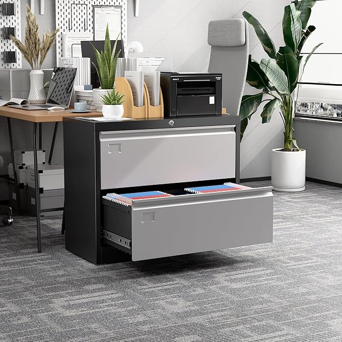 Aobabo 2 Drawer Lateral File Cabinet, Metal Filing Cabinet with Lock, Suitable for Home Office School Hanging Files Letter/Legal/F4/A4 Size,Multi,Required-Assembly
